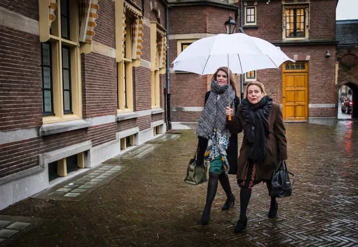 kabinet biedt hulp aan voor onderzoek javazee