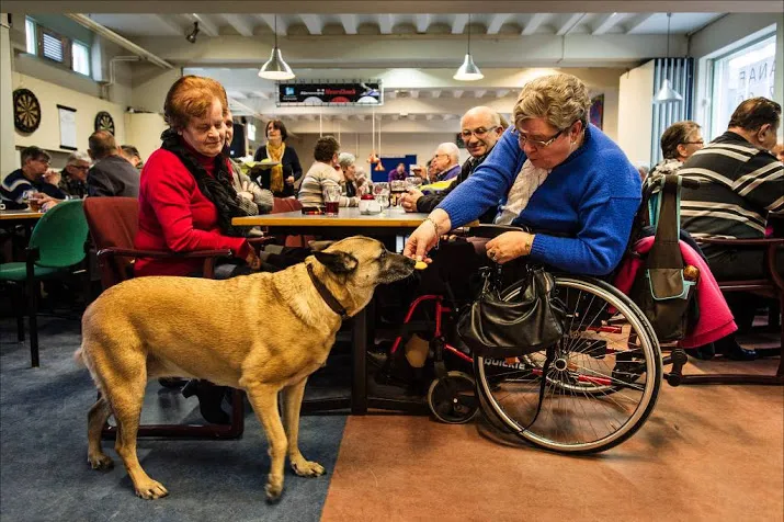 kamer laat huisdier toe tot zorginstelling