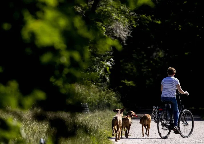 kamer wil afschaffing hondenbelasting eerst nog onderzoeken