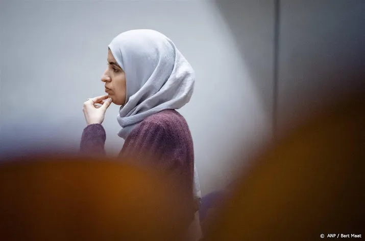 kamerlid groenlinks trekt zich terug om missende context israel
