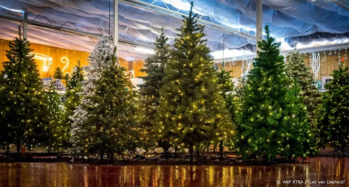kerstboom moet dit jaar groter dan ooit
