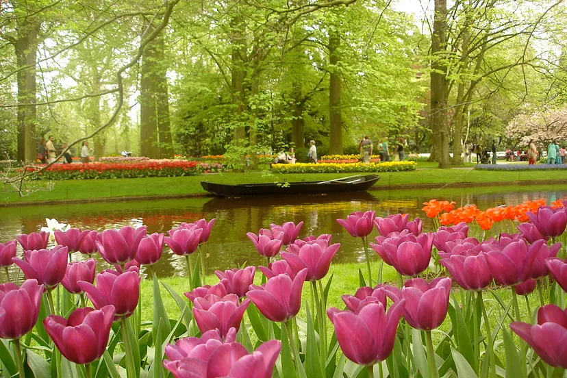 keukenhof hq wikimedia tiago fioreze cc by sa 30