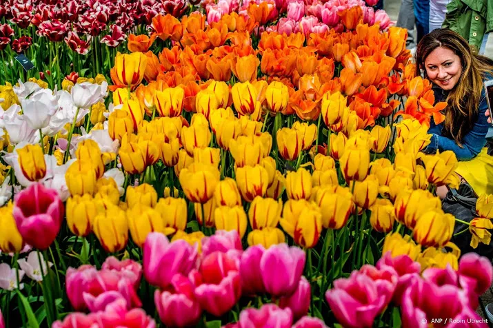 keukenhof in teken van de flowerpower