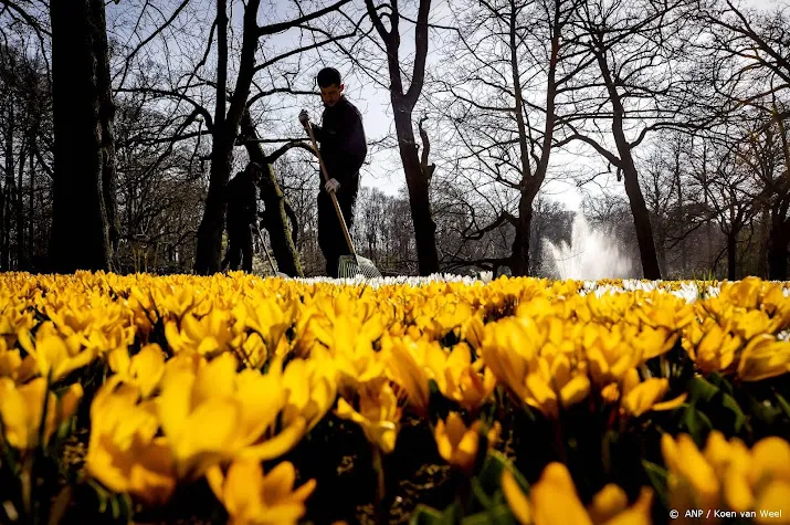 keukenhof opent deuren zonder restricties na twee coronajaren