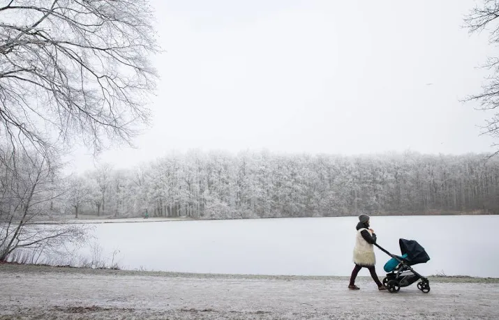 kinderwagenmerk bugaboo in amerikaanse handen