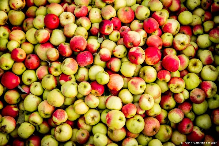 kleinere appeloogst verwacht evenveel peren