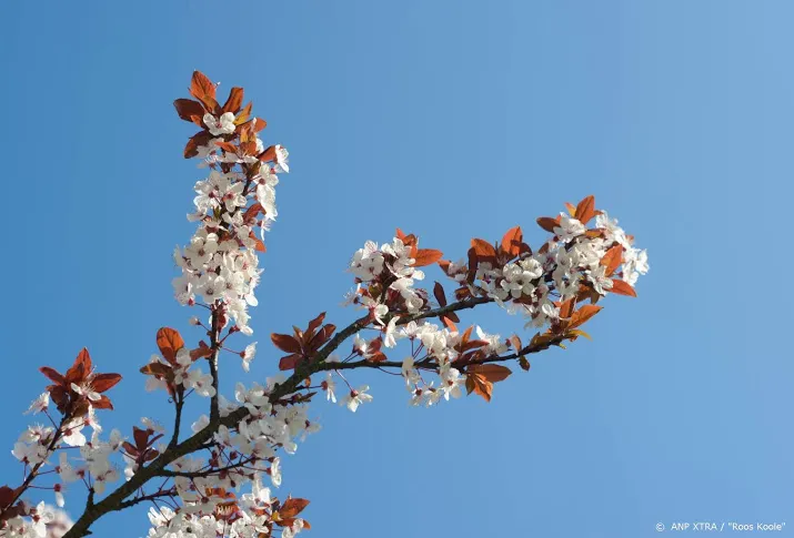 klimaatverandering februari al 16 graden opgewarmd