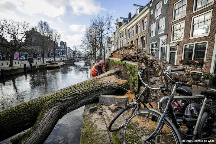 knmi storm eunice in top 3 zwaarste stormen sinds 1970