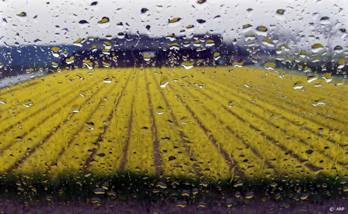knmi verwacht regen op tweede paasdag