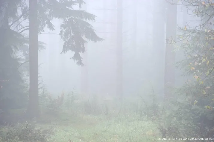 knmi waarschuwt voor dichte mist in hele land behalve oosten