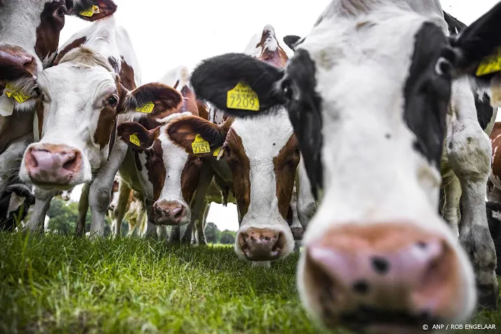 koe in de wei leidt niet altijd tot extra stikstofuitstoot