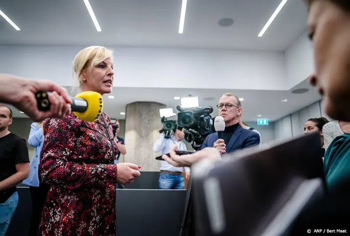kuiken niet op winkel passen wil ook partijleider pvda worden