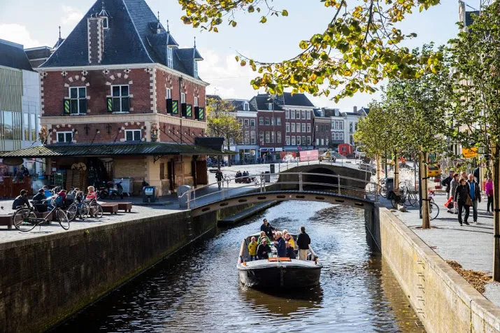 leeuwarden in de ban van de reuzen