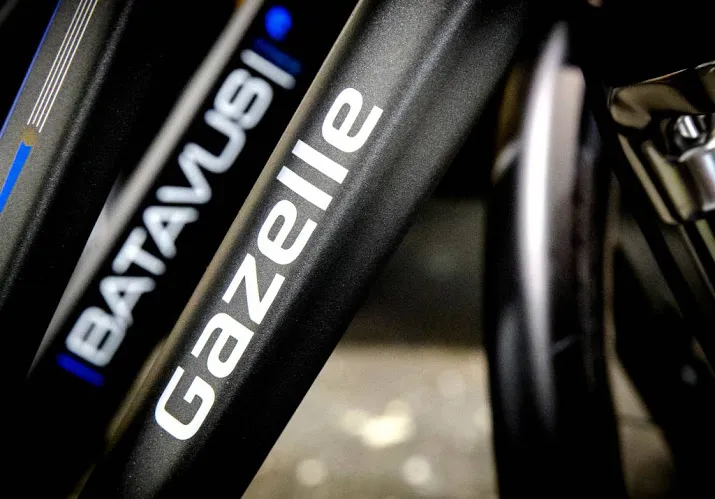 lichte winstdaling fietsenbedrijf accell