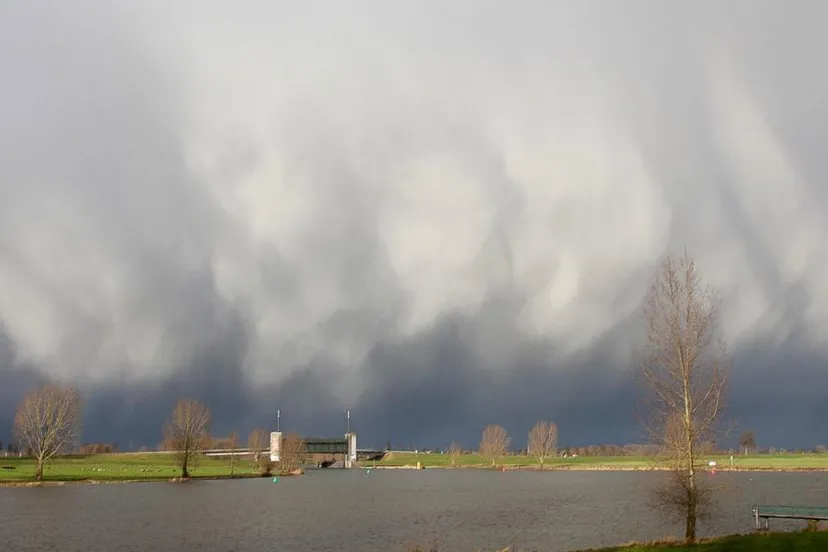 lida verkade heesbeen ad maas