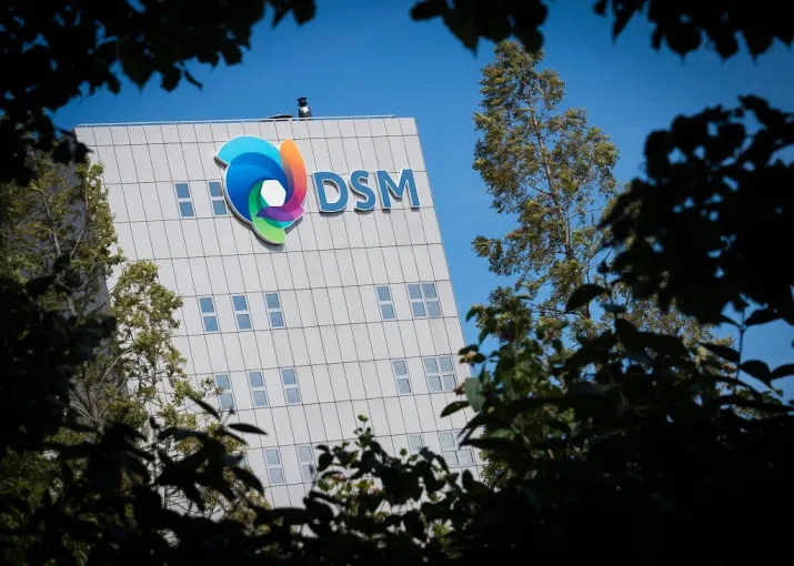 loonsverhoging voor medewerkers dsm
