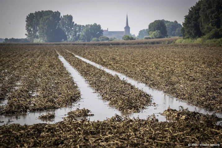 lto boeren en tuinders in de problemen door hevige regenval
