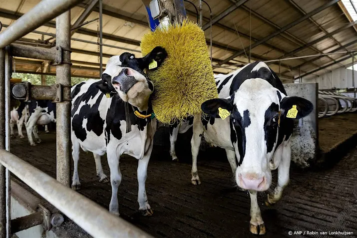 lto overheid moet dierwaardige veehouderij financieel stimuleren