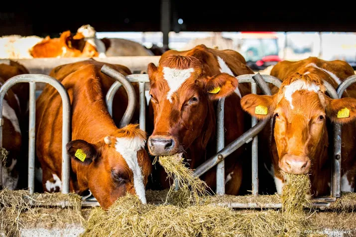 lto wil omstreden voedermaatregel vanwege droogte van tafel