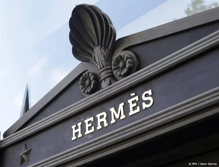 luxemerk hermes wint zaak om virtuele birkin handtas