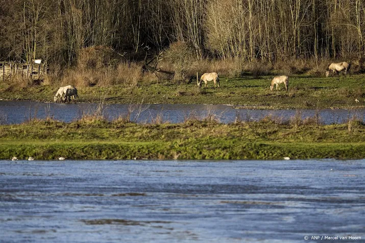 maas bereikt dinsdag hoogste punt rijn volgt donderdag