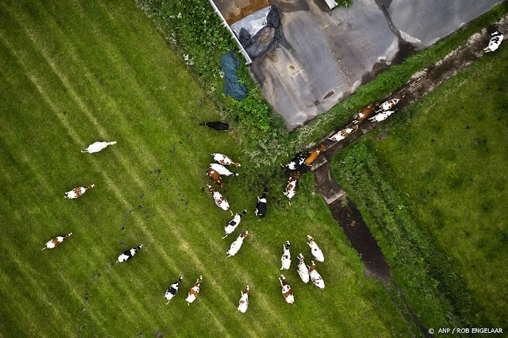 makelaars melkveeboerderijen populair door hoge melkprijs