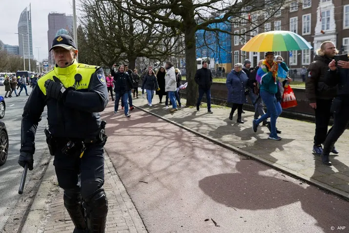 man aangehouden op malieveld die agenten aanviel met stok