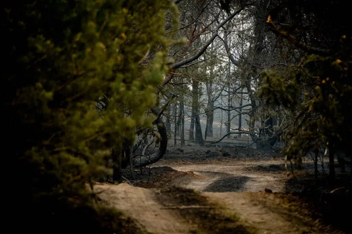 man vrijgesproken voor brandstichting veluwe