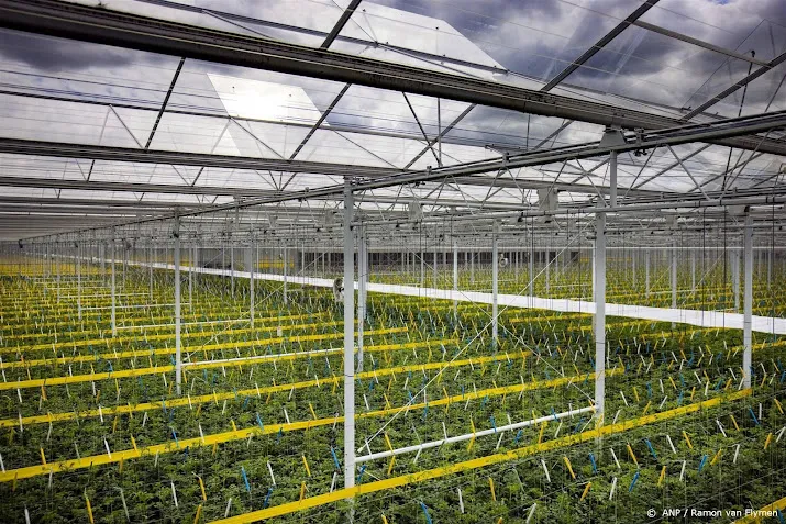 marokkaanse handelsreis in nederland gaat door ondanks aardbeving