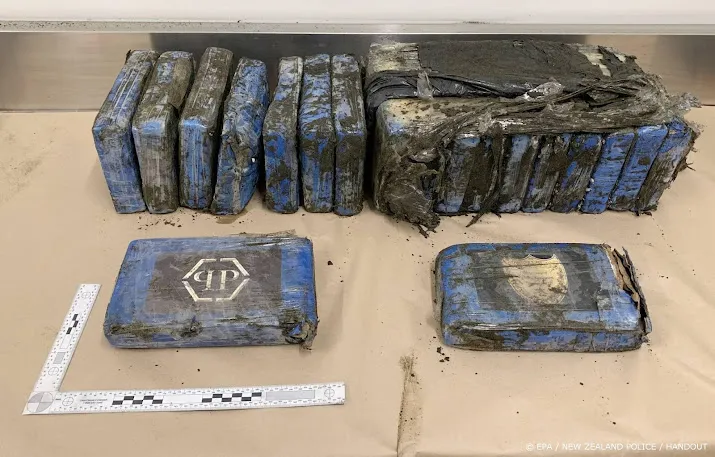 meer dan 1500 kilo cocaine onderschept in rotterdamse haven