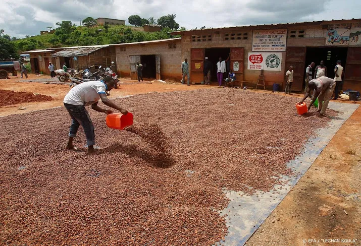 meer kinderarbeid cacaoplantages ondanks beloftes producenten