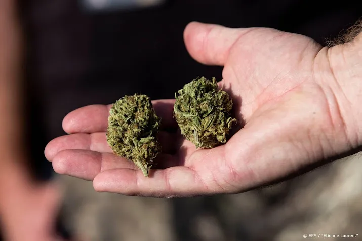 meer mensen gebruiken regelmatig cannabis