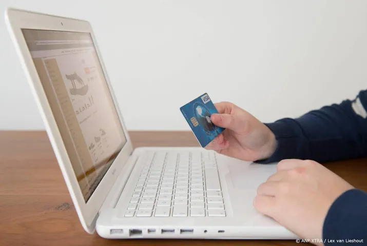 meer nederlanders shoppen online