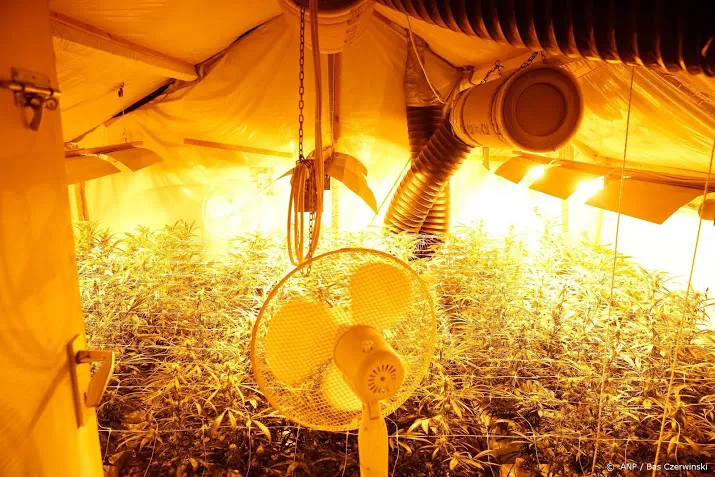 meer nederlandse wietplantages in buitenland
