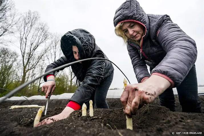 meer oekraiense vluchtelingen aan het werk helft heeft nu baan