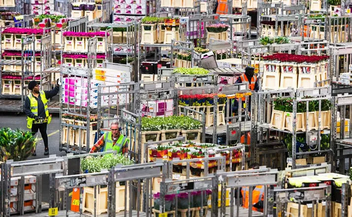 meer omzet floraholland door hogere prijzen