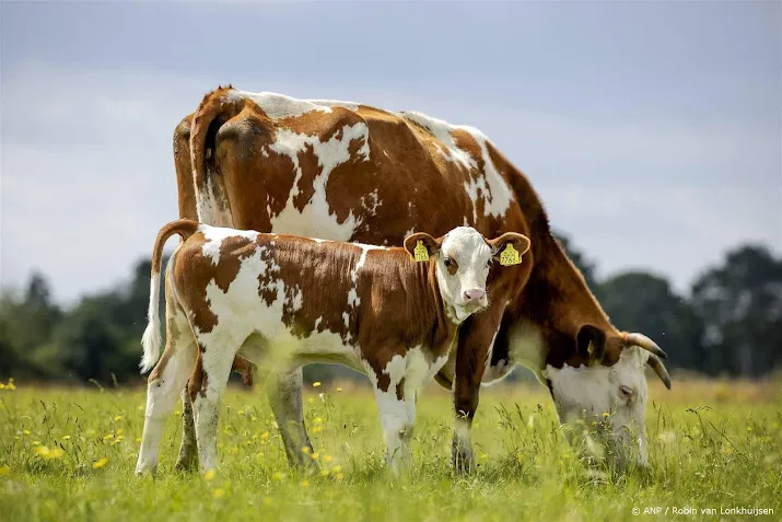 meer zuivelverwerkers met co2 doelen doorberekenen kosten lastig