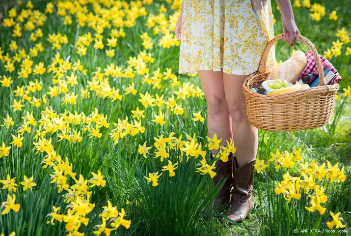meeste nederlanders tevreden over hun leven