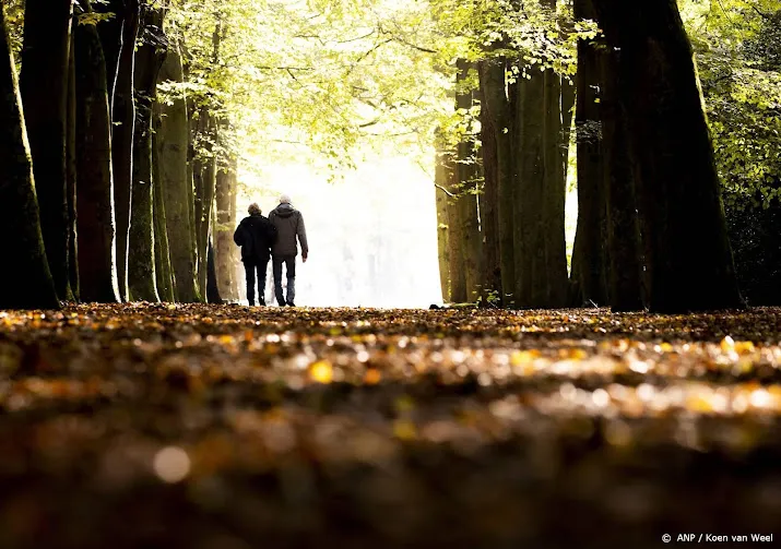 meeste nederlanders zijn tijdens coronacrisis meer gaan wandelen