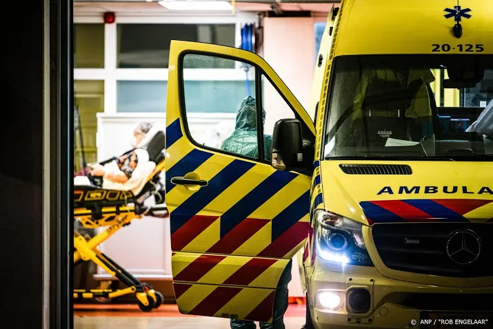 meisje 6 ernstig gewond door aanval twee honden in kaatsheuvel