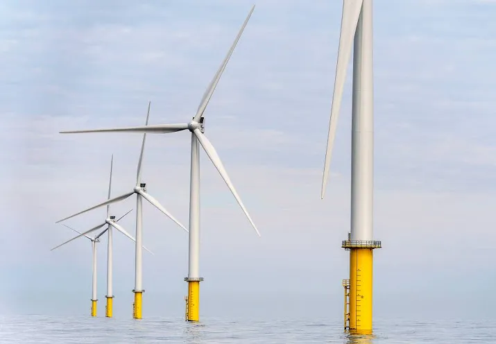 milieuorganisaties meer tempo in windenergie