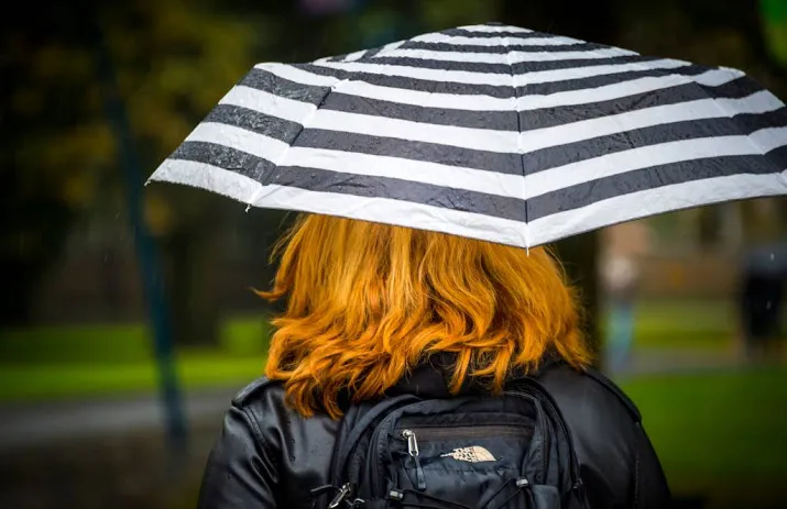 minder bezoekers roodharigendag door regen