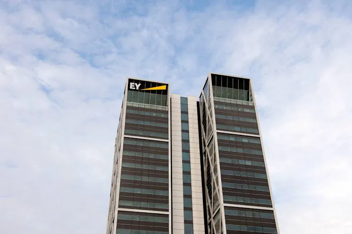 minder buitenlandse investeringen nederland