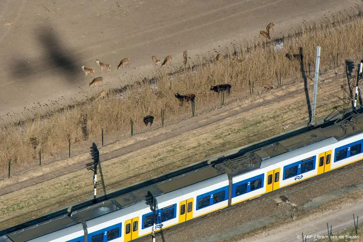 minder vertraging door dieren op het spoor