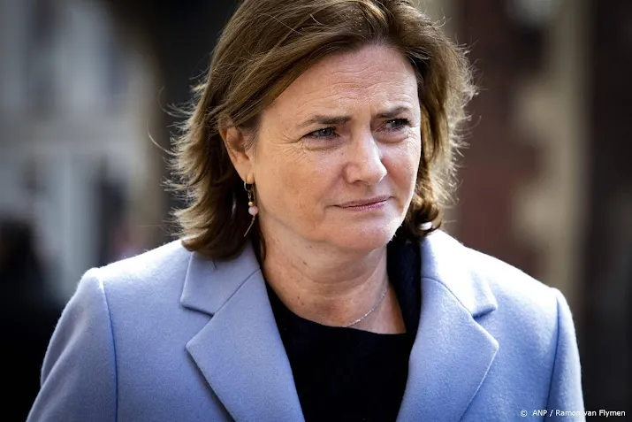 minister noemt vechtpartij bij turks stembureau onacceptabel