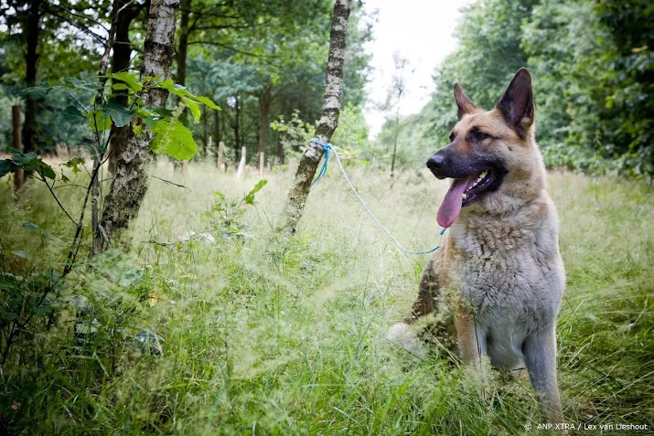 minister verbiedt stroombanden bij honden