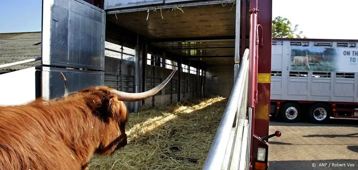 minister verbod veevervoer bij extreme hitte