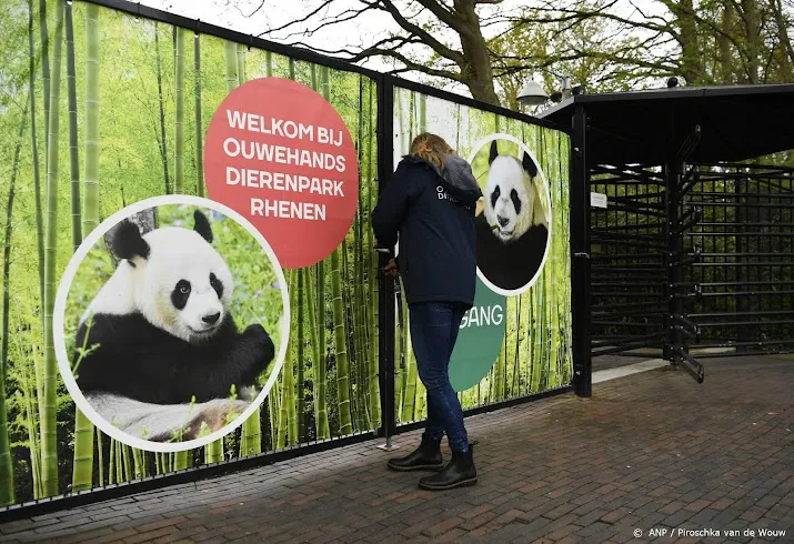 mishandelde oekraiense beren in ouwehands dierenpark voor herstel