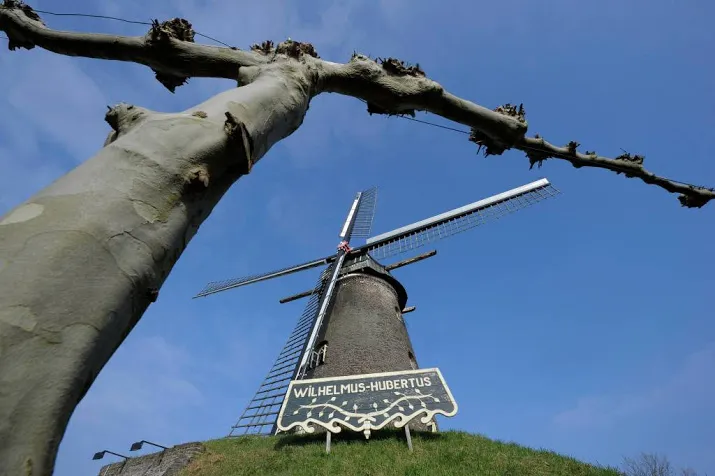 molens kijken op nationale molendag