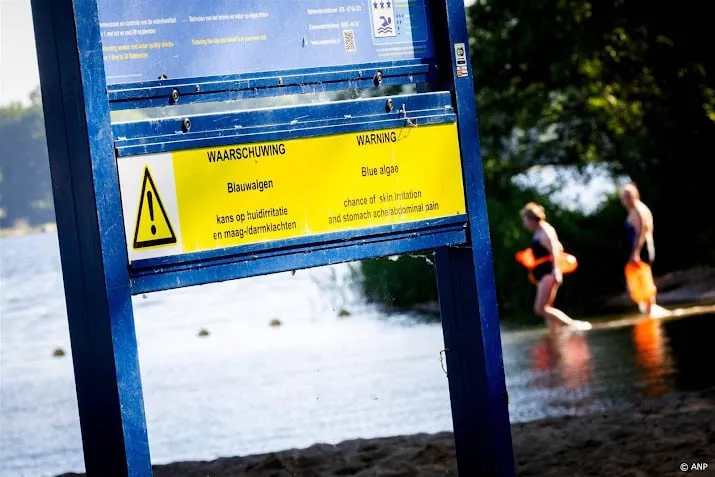 natte zomer is ook goed nieuws weinig meldingen blauwalg